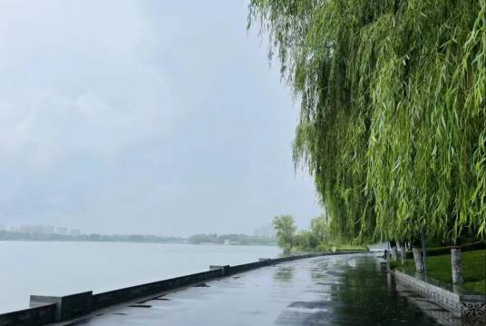 凤湖（新乡市凤湖）