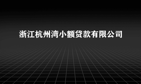 浙江杭州湾小额贷款有限公司