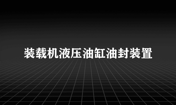 装载机液压油缸油封装置