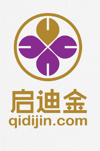 启迪金