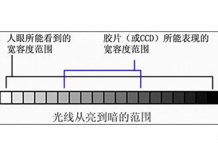 宽容度