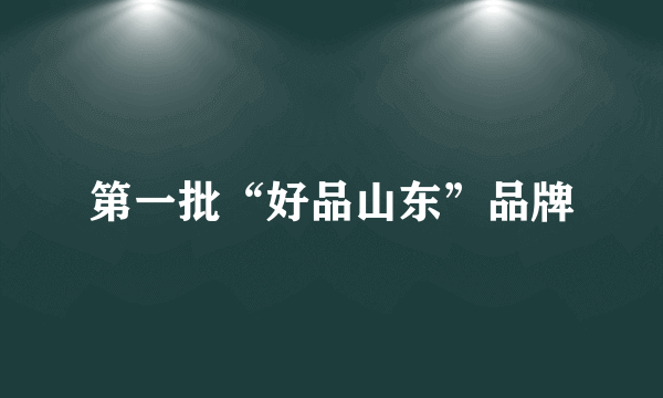 第一批“好品山东”品牌