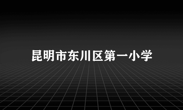 昆明市东川区第一小学