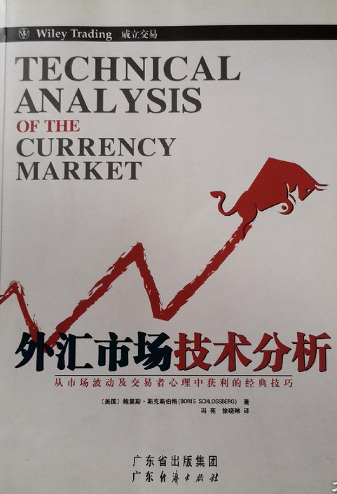 外汇市场技术分析（2005年广东经济出版社出版的图书）
