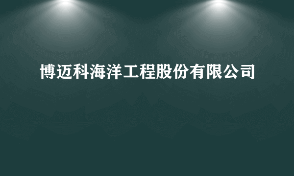 博迈科海洋工程股份有限公司
