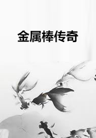 金属棒传奇