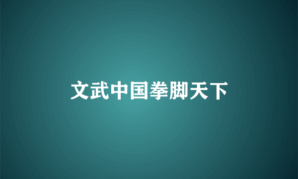 文武中国拳脚天下