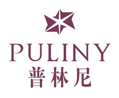 深圳市普林尼珠宝首饰有限公司