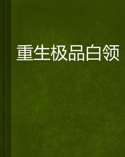 重生极品白领