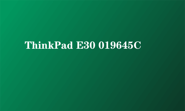 ThinkPad E30 019645C