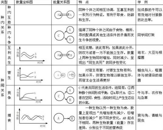 种间关系