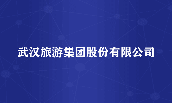 武汉旅游集团股份有限公司