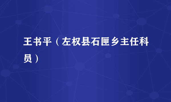 王书平（左权县石匣乡主任科员）
