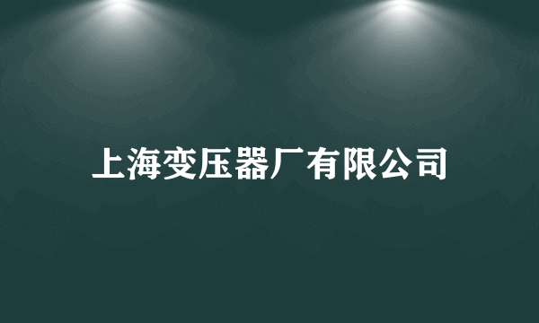 上海变压器厂有限公司