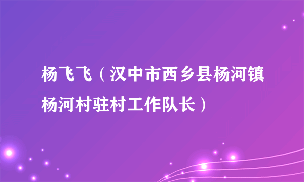 杨飞飞（汉中市西乡县杨河镇杨河村驻村工作队长）