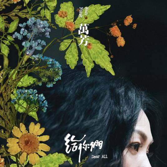 模样（万芳演唱歌曲）