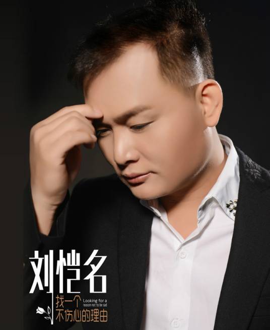 找一个不伤心的理由（刘恺名演唱）