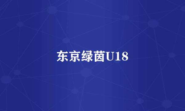 东京绿茵U18
