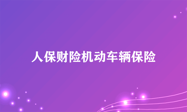 人保财险机动车辆保险