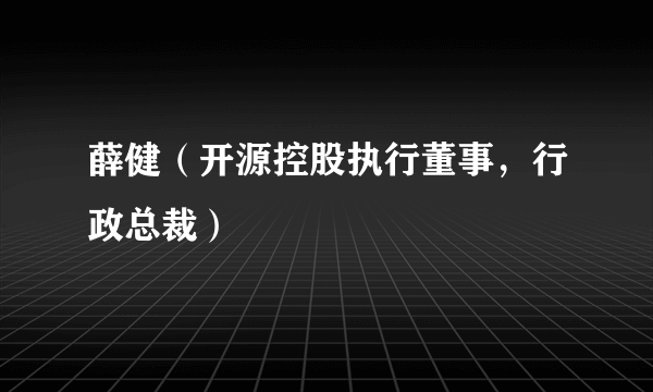 薛健（开源控股执行董事，行政总裁）