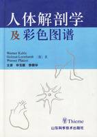 人体解剖学及彩色图谱