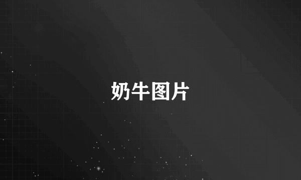 奶牛图片