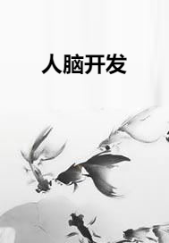 人脑开发
