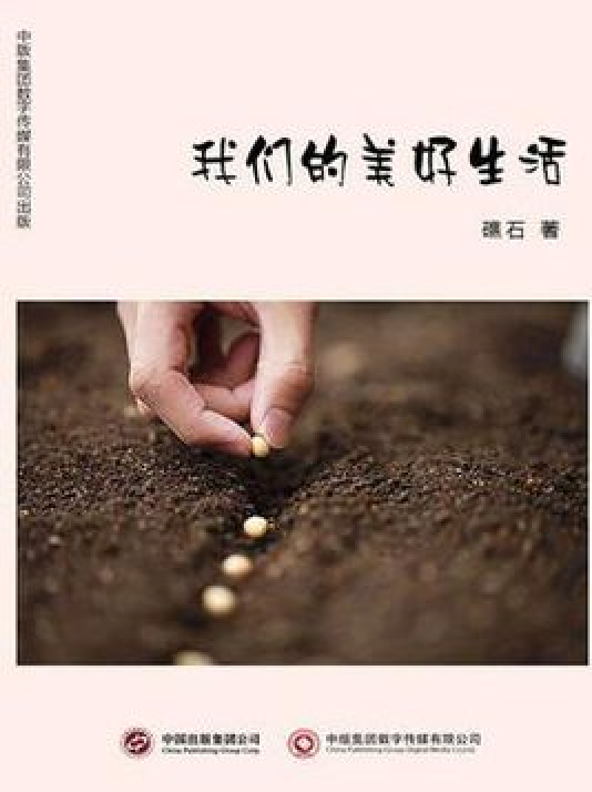 我们的美好生活（礁石著网络小说）