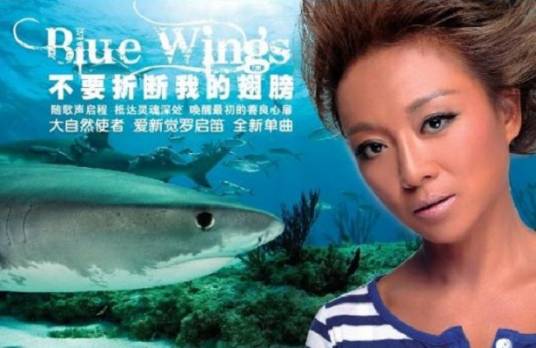 不要折断我的翅膀（爱新觉罗·启笛、爱新觉罗·媚演唱的歌曲）