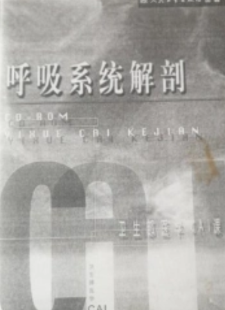 呼吸系统解剖