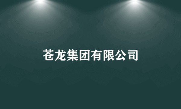 苍龙集团有限公司
