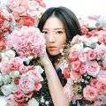 借借（歌曲的名称）