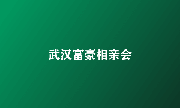 武汉富豪相亲会