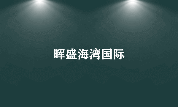晖盛海湾国际