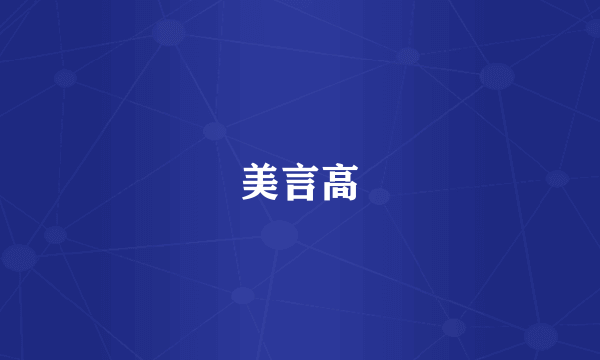 美言高