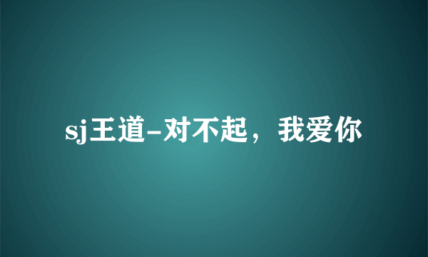 sj王道-对不起，我爱你