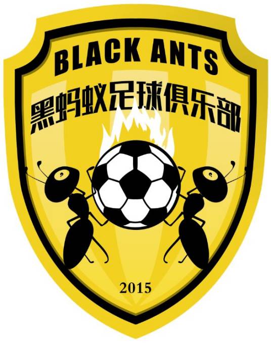 株洲市黑蚂蚁足球俱乐部