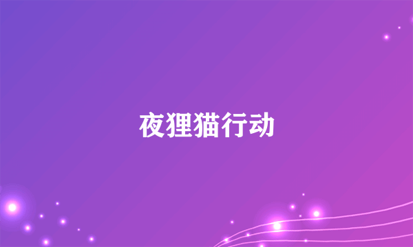 夜狸猫行动