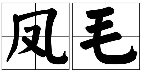 凤毛