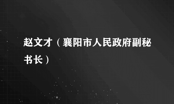 赵文才（襄阳市人民政府副秘书长）