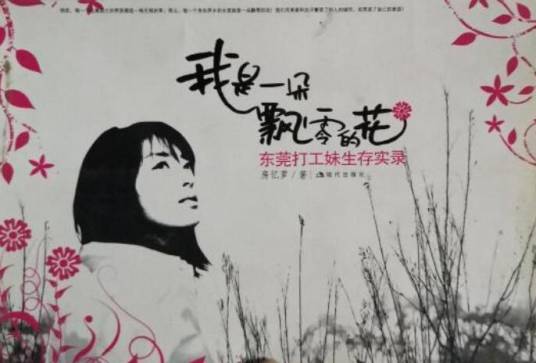 我是一朵飘零的花（2008年现代出版社出版的图书）