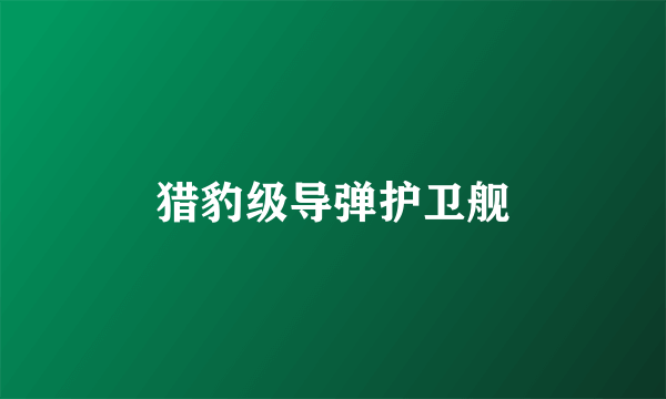 猎豹级导弹护卫舰