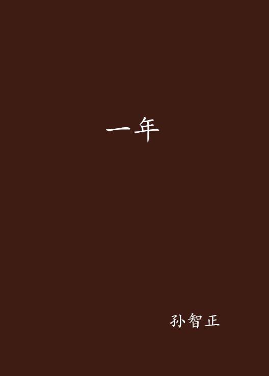 一年（孙智正创作中篇小说）