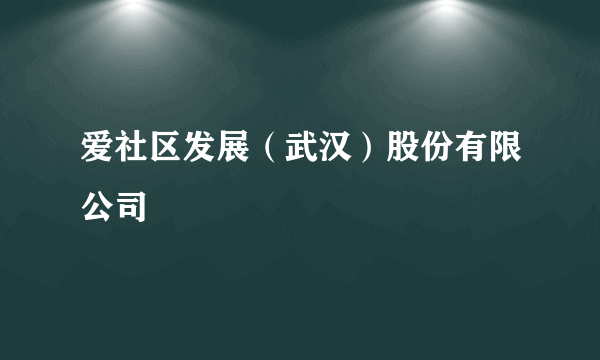爱社区发展（武汉）股份有限公司