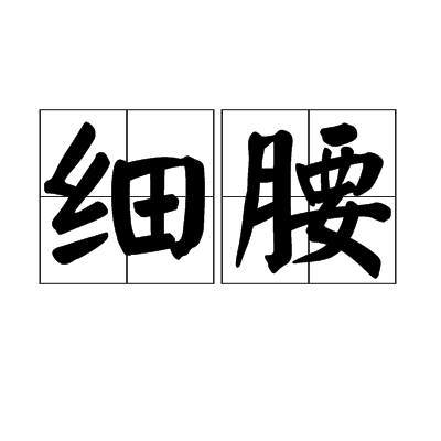 细腰（汉语词汇）