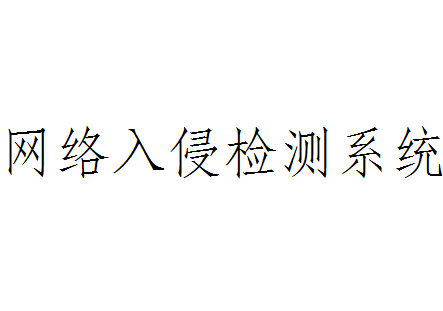 网络入侵检测系统