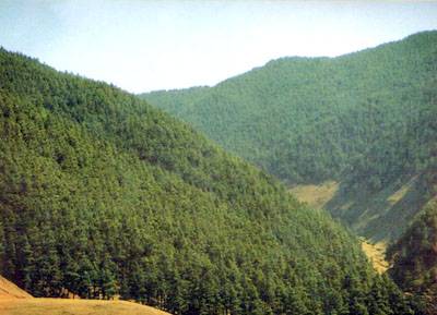 钟灵山国家森林公园
