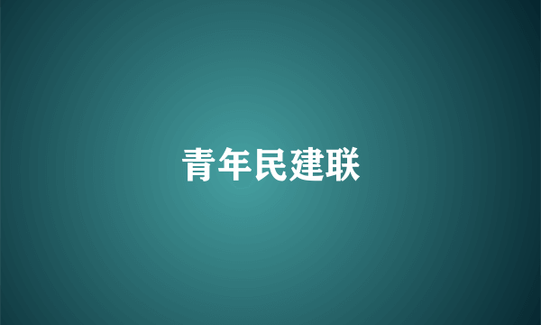 青年民建联
