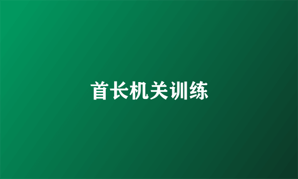 首长机关训练