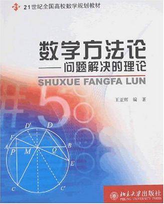 数学方法论：问题解决的理论（2007年北京大学出版社出版的图书）